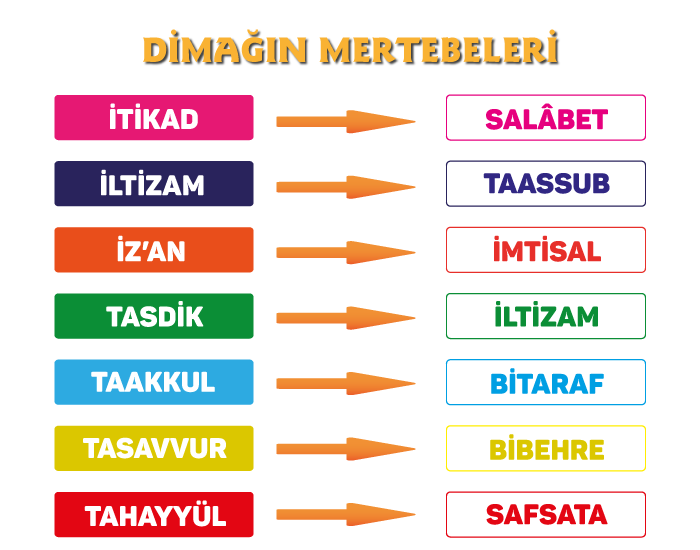 dimağın mertebeleri